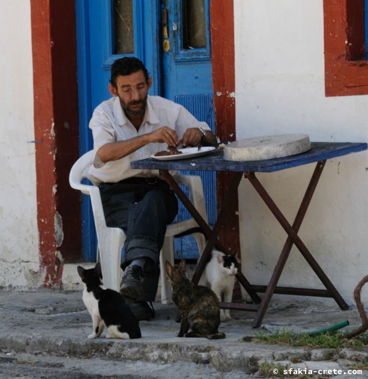 Photo report of a stay in Sfakia and Crete, May 2008